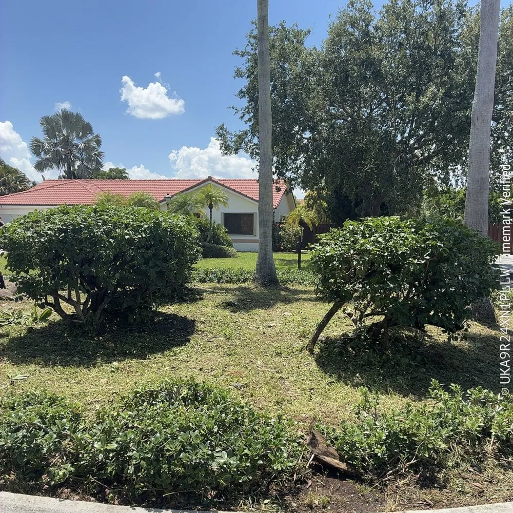Local residential landscaping experts serving Miami, FL - CSD Tree And Land