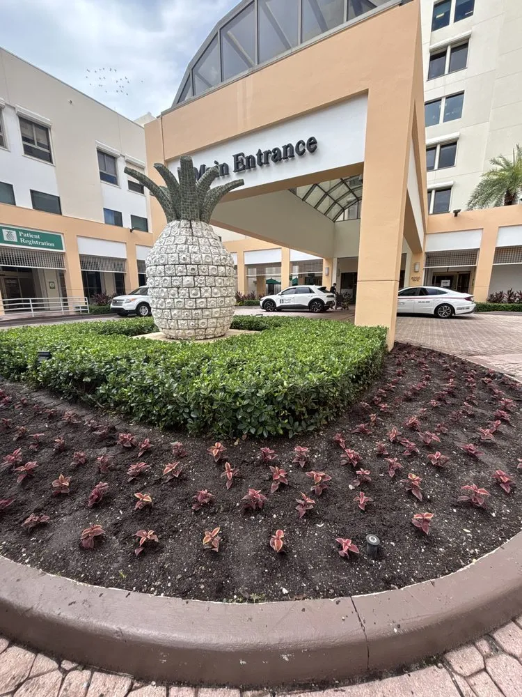 Affordable lawn mowing service experts serving Miami, FL - CSD Tree And Land