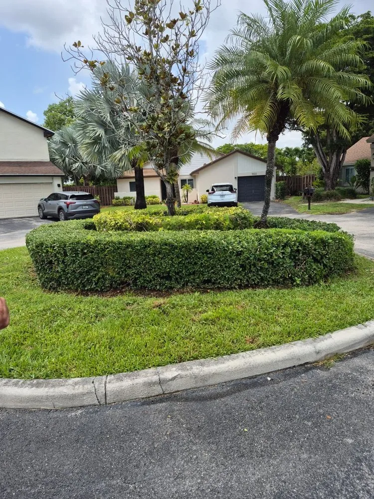 Custom yard cleanup service in Miami, FL by CSD Tree And Land
