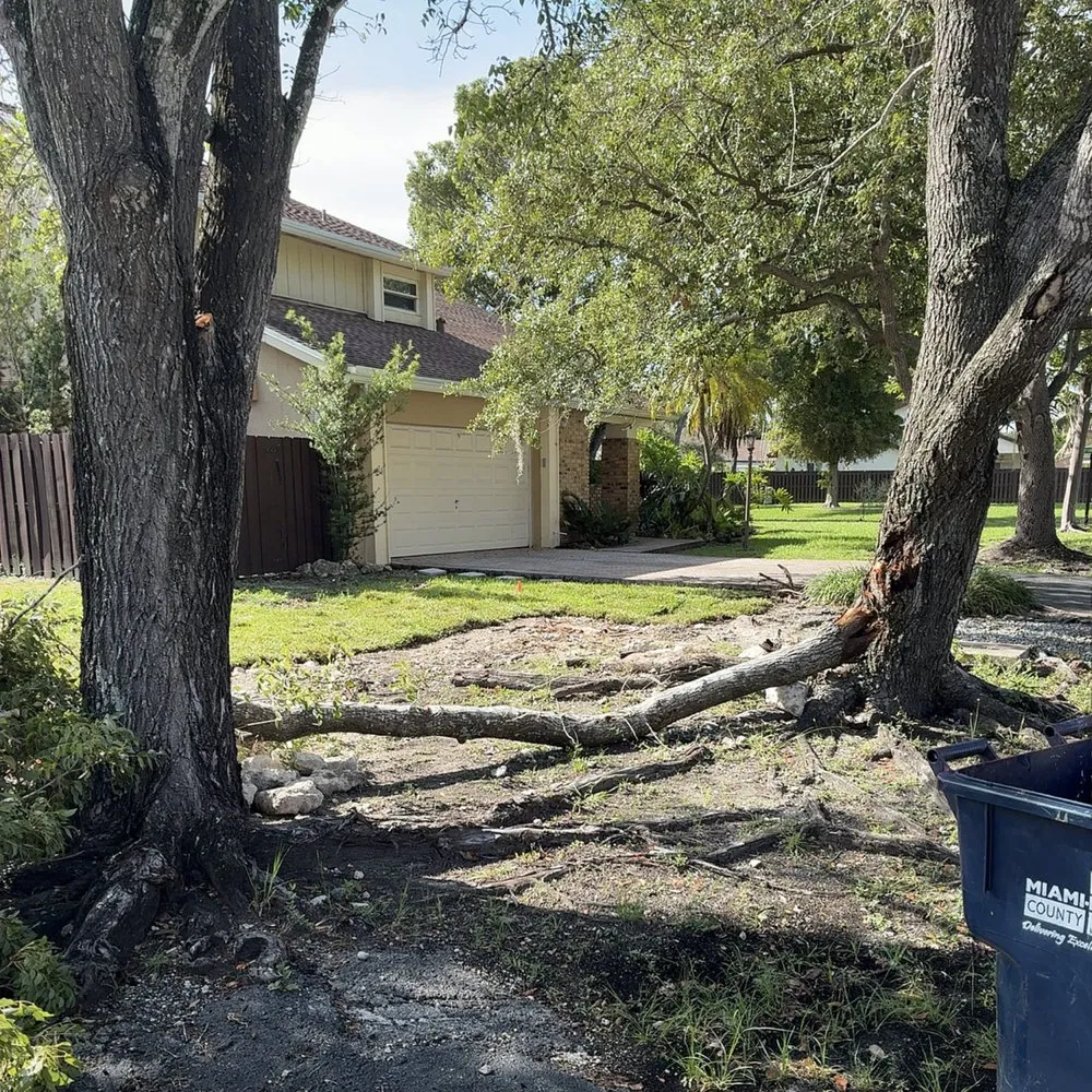 Top-rated yard cleanup service for outdoor upgrades in Miami, FL by CSD Tree And Land