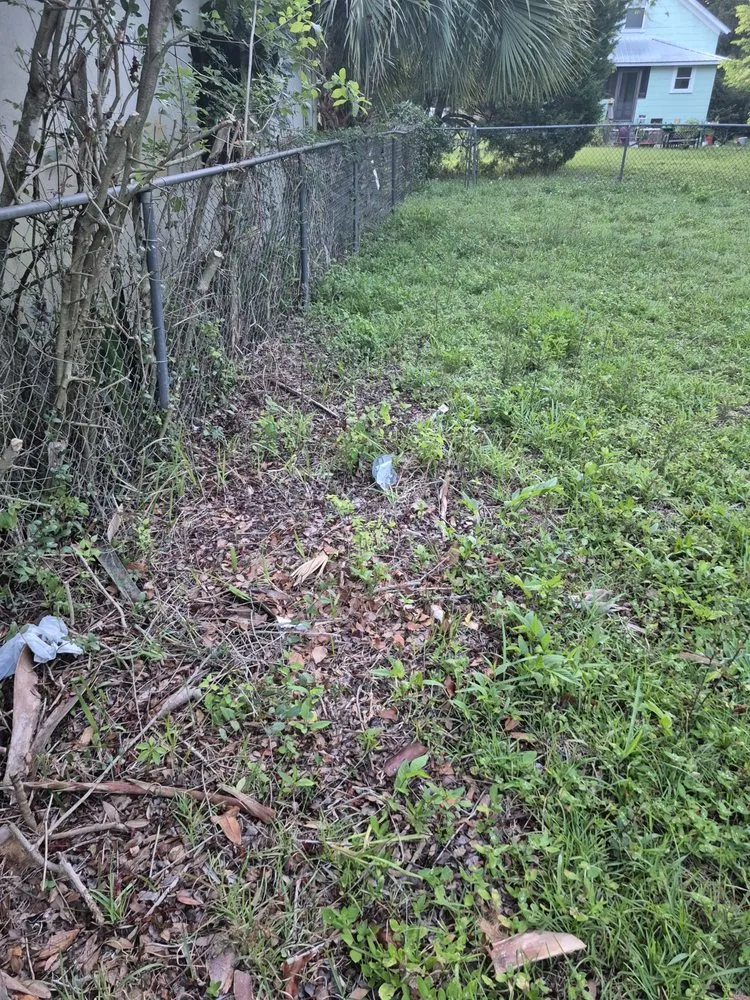 Custom yard cleanup service in Jacksonville, FL by CSI Florida Landscaping