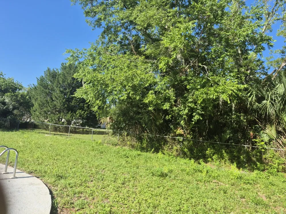 Top-rated lawn mowing service for beautiful yards in Jacksonville, FL by CSI Florida Landscaping