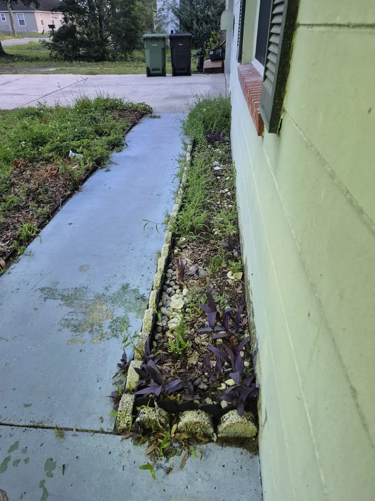 Top-rated residential landscaping with custom design across Jacksonville, FL - CSI Florida Landscaping