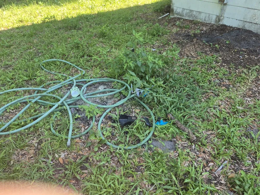 Reliable landscaping services for residential properties in Jacksonville, FL by CSI Florida Landscaping