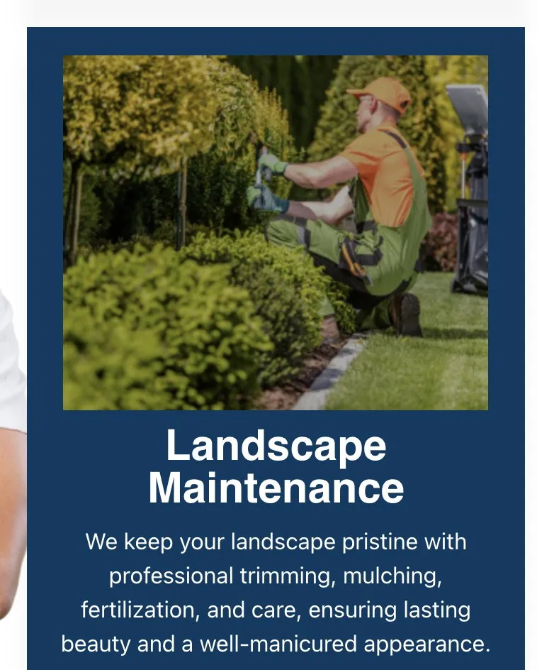 Expert residential landscaping in Jacksonville, FL by CSI Florida Landscaping