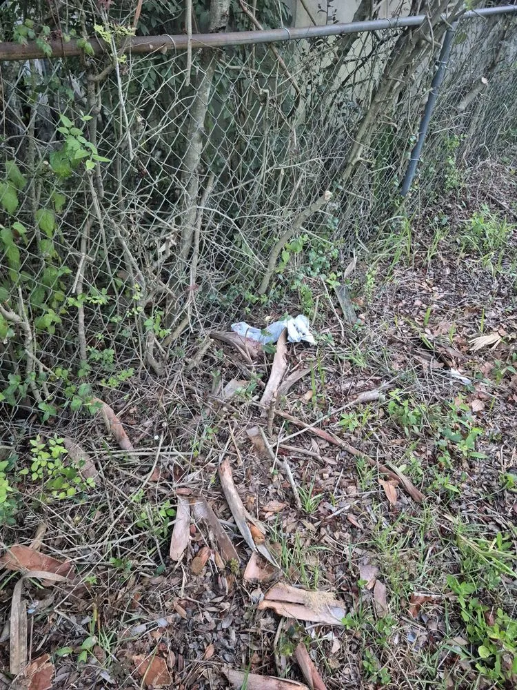 Affordable lawn mowing service in Jacksonville, FL by CSI Florida Landscaping