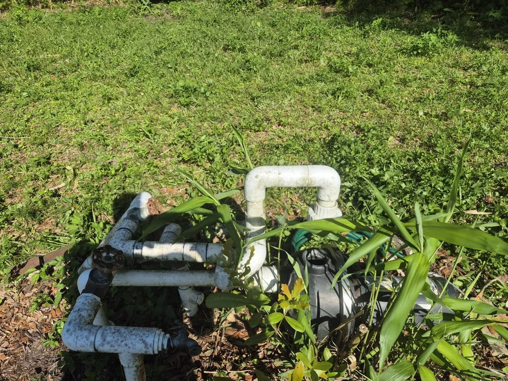 Professional landscaping services in Jacksonville, FL - CSI Florida Landscaping