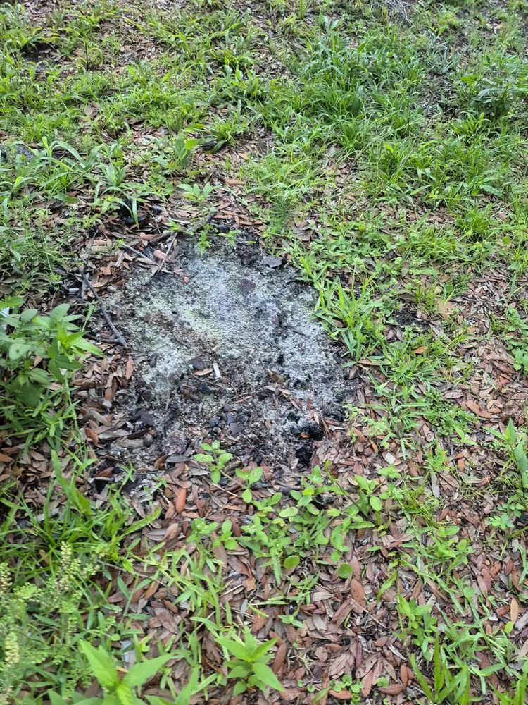 Custom yard maintenance in Jacksonville, FL - CSI Florida Landscaping