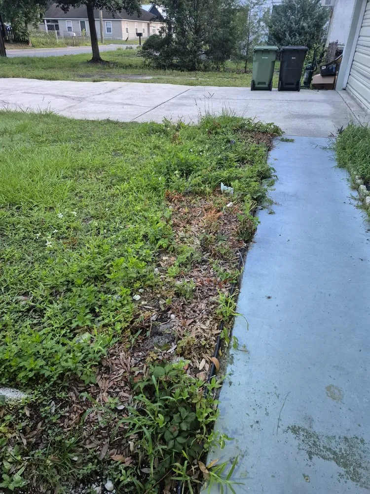 Affordable yard maintenance experts serving Jacksonville, FL - CSI Florida Landscaping