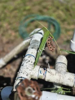 CSI Florida Landscaping Logo