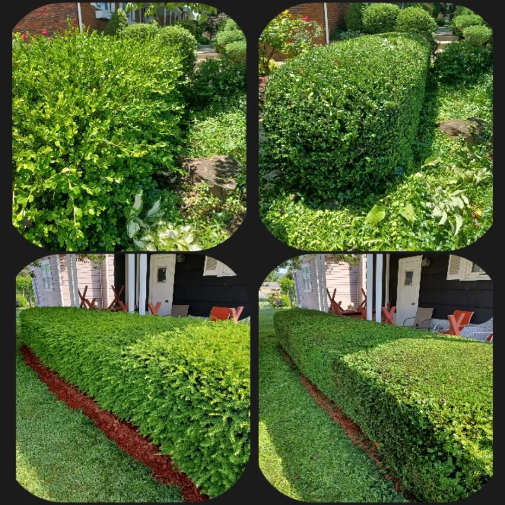 Expert garden landscaping experts serving New Kensington, PA - Cside cuts