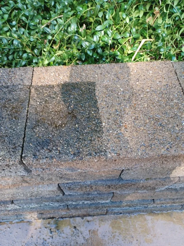 Trusted yard cleanup service experts serving New Kensington, PA - Cside cuts