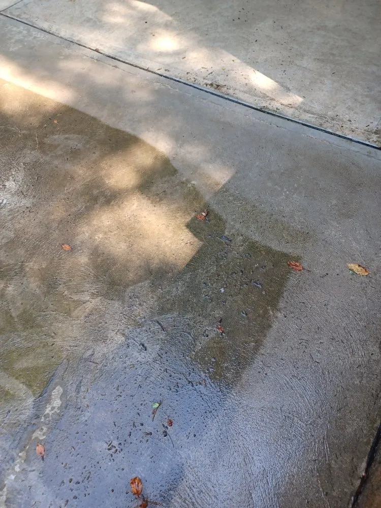 Professional landscape design experts serving New Kensington, PA - Cside cuts