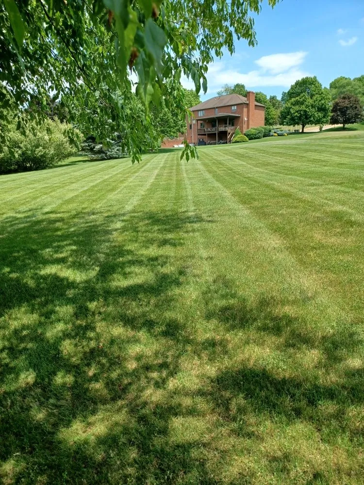 Top-rated outdoor landscaping for homes in New Kensington, PA by Cside cuts