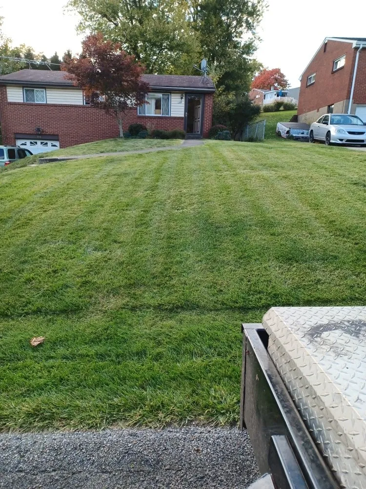 Affordable landscape design in New Kensington, PA by Cside cuts