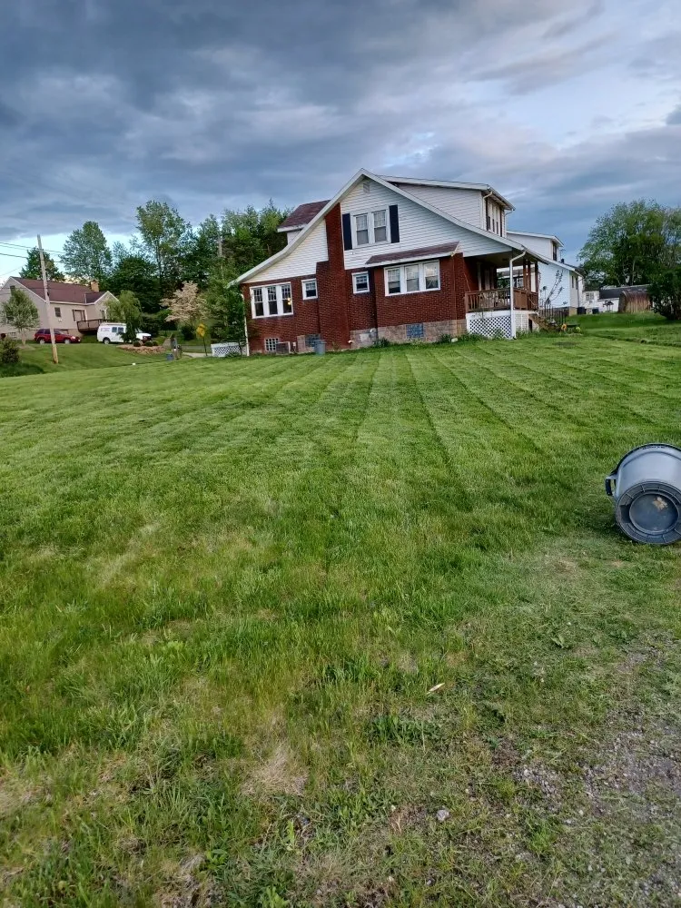 Professional yard cleanup service in New Kensington, PA - Cside cuts