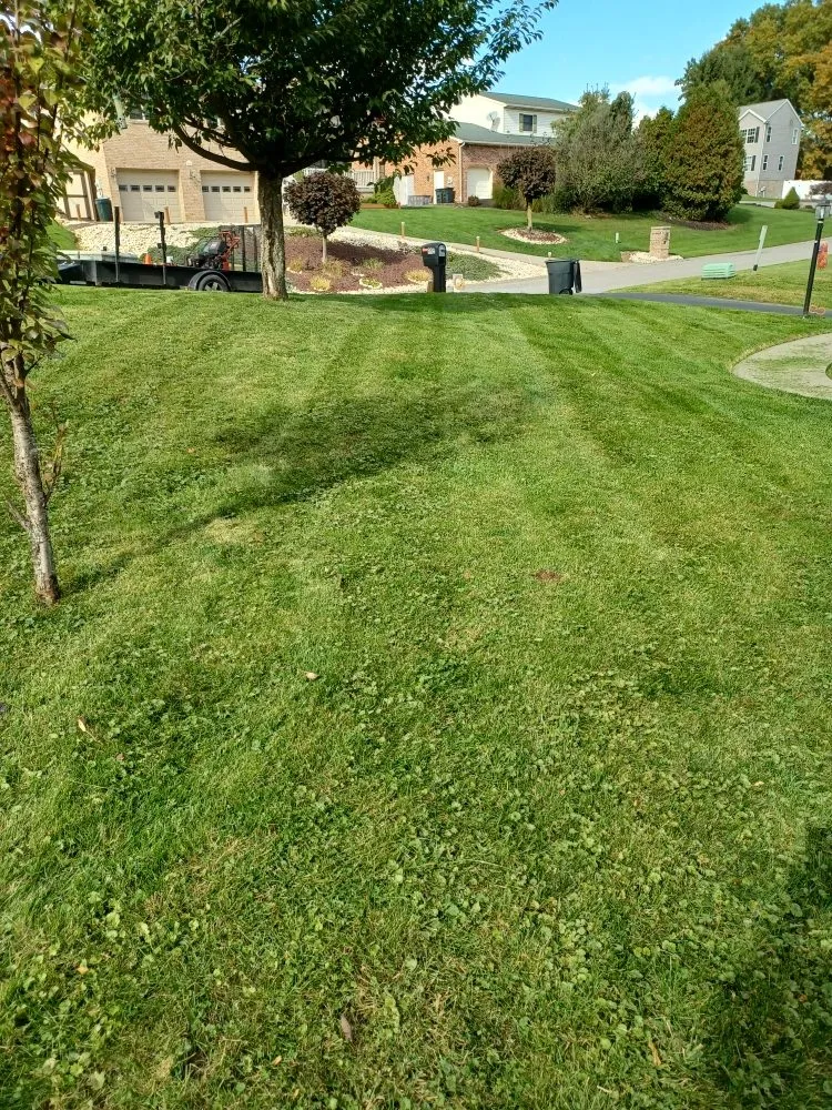 Top-rated residential landscaping with custom design across New Kensington, PA - Cside cuts