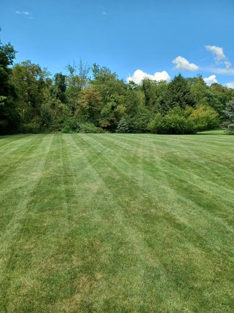 Professional landscape installation near you across New Kensington, PA - Cside cuts