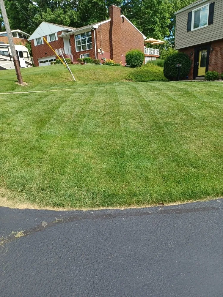 Top-rated garden landscaping for outdoor upgrades across New Kensington, PA - Cside cuts