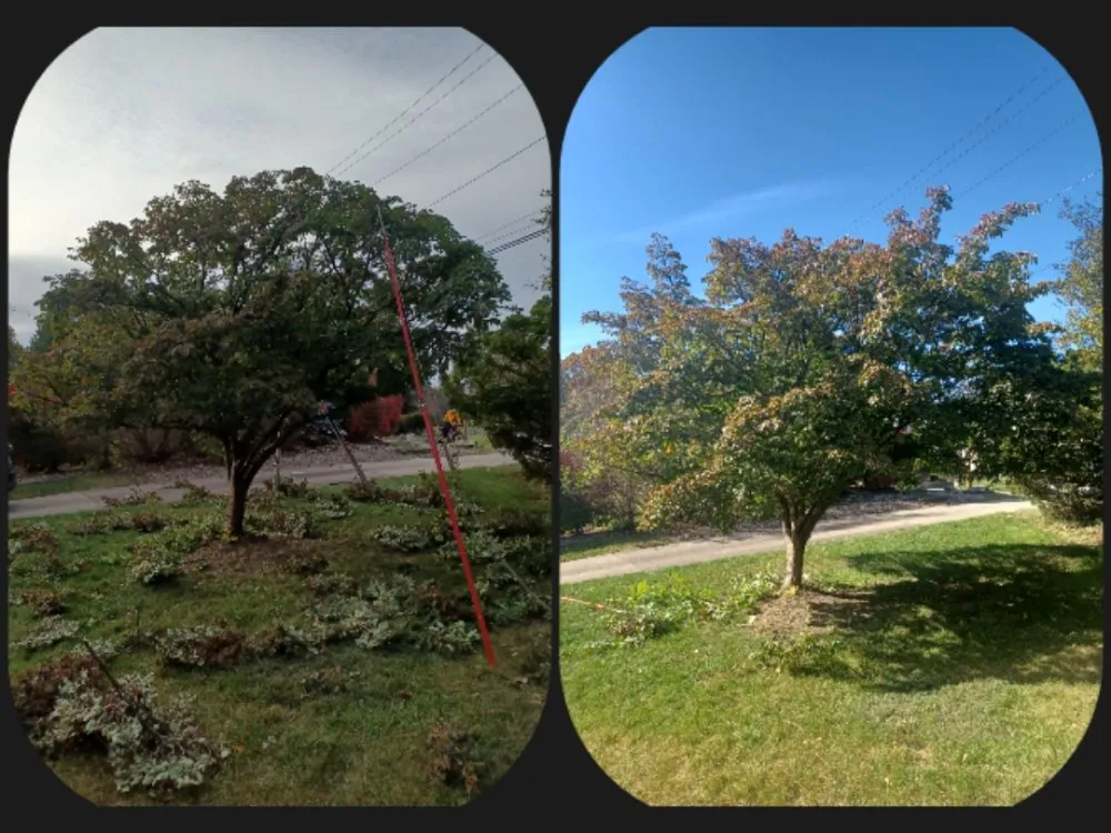 Top-rated lawn mowing service experts serving New Kensington, PA - Cside cuts