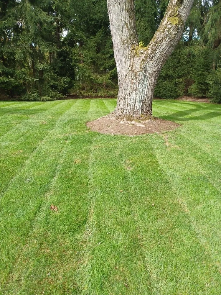 Reliable yard maintenance experts serving New Kensington, PA - Cside cuts