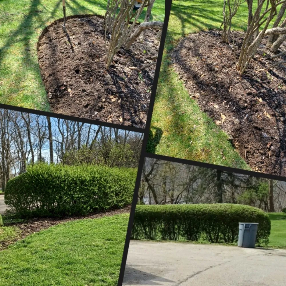 Custom lawn care service in New Kensington, PA by Cside cuts