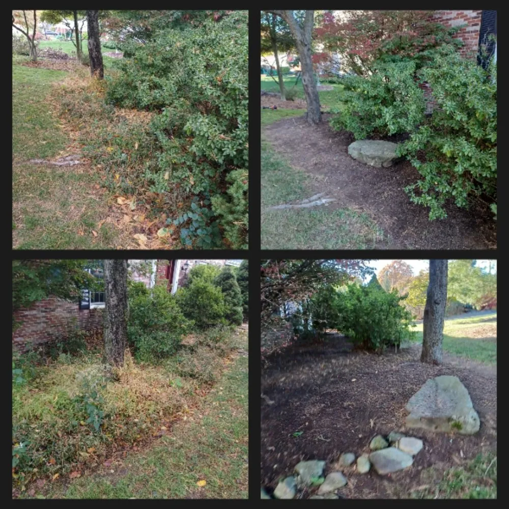 Professional landscaping services in New Kensington, PA - Cside cuts