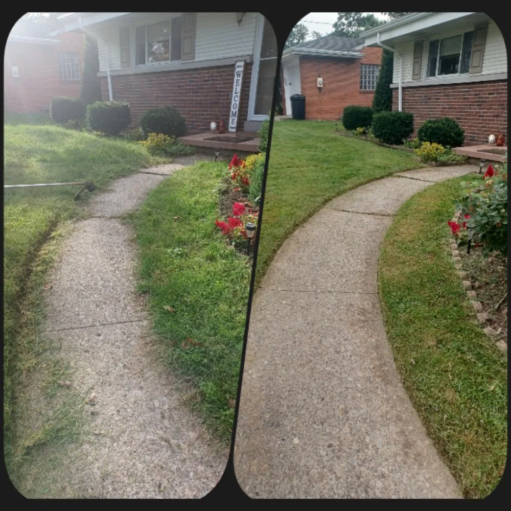 Expert yard maintenance in New Kensington, PA - Cside cuts