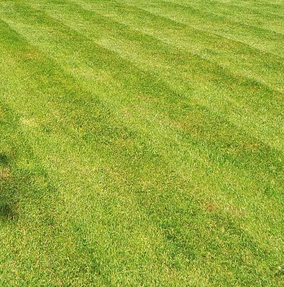 Reliable landscape installation for year-round maintenance in Greensboro, NC by CS&K Lawn Services