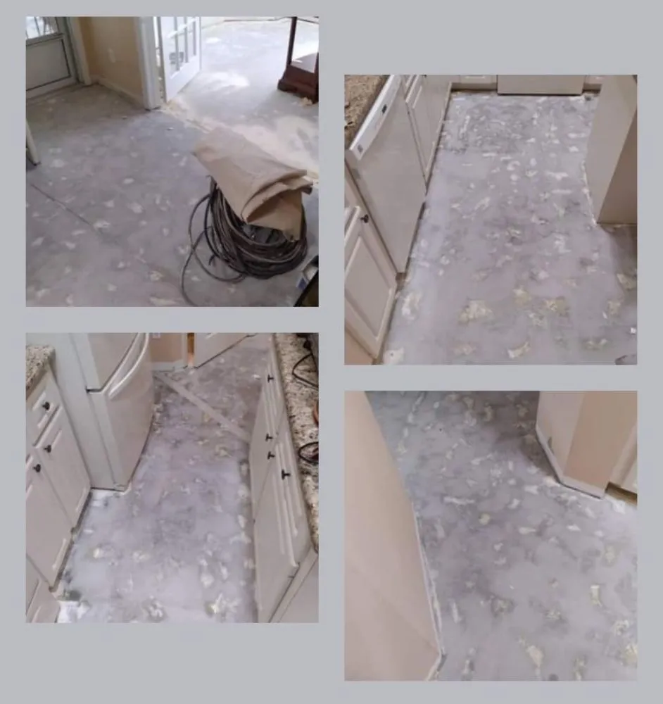 Expert landscape design for residential properties in Lecanto, FL by CSM Demolition & Cleanouts