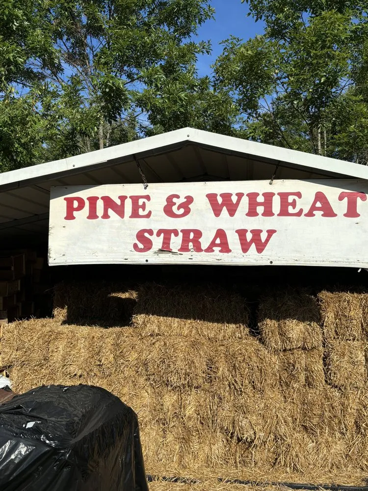 Trusted yard maintenance in Chattanooga, TN by CSM Hauling and Delivery