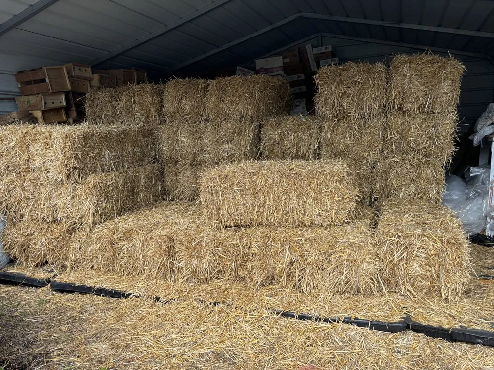 Trusted lawn mowing service for outdoor upgrades in Chattanooga, TN by CSM Hauling and Delivery