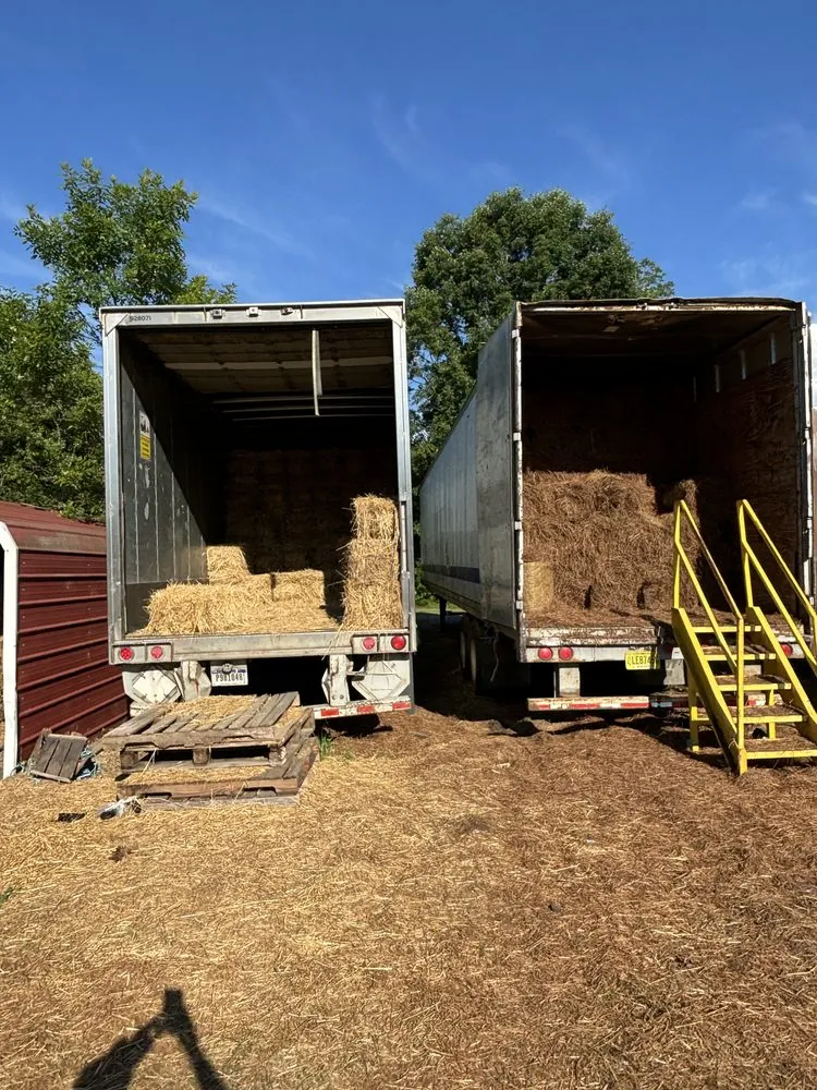 Reliable residential landscaping for outdoor upgrades across Chattanooga, TN - CSM Hauling and Delivery