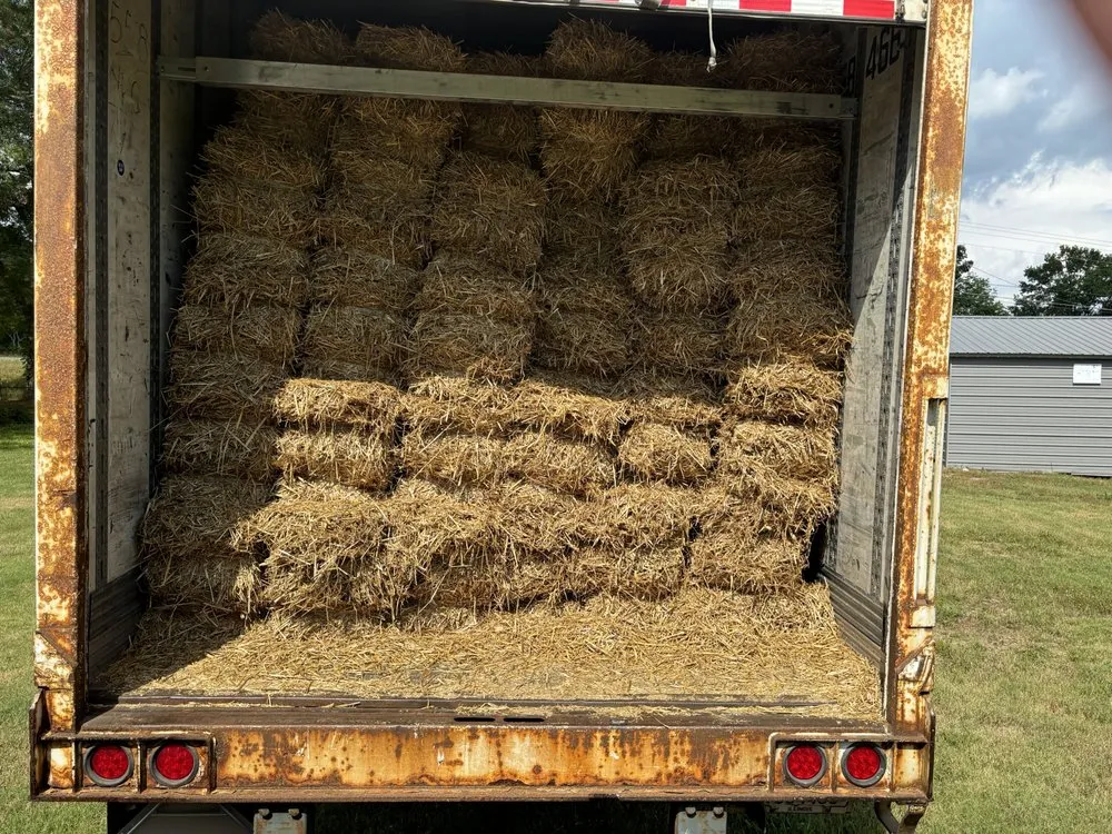 Reliable garden landscaping for outdoor upgrades across Chattanooga, TN - CSM Hauling and Delivery