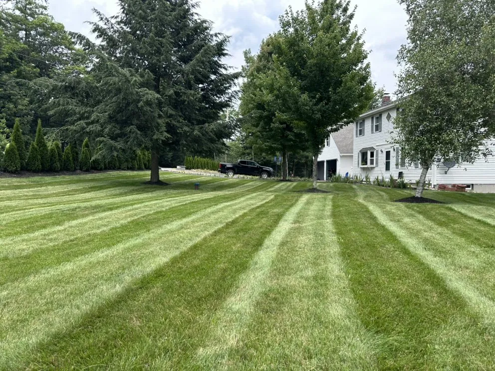 Top-rated yard maintenance for year-round maintenance across Manchester, NH - CSM Landscaping & Lot