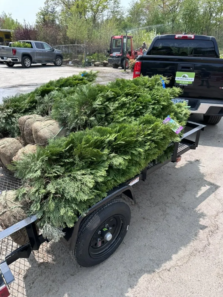 Custom yard maintenance in Manchester, NH - CSM Landscaping & Lot