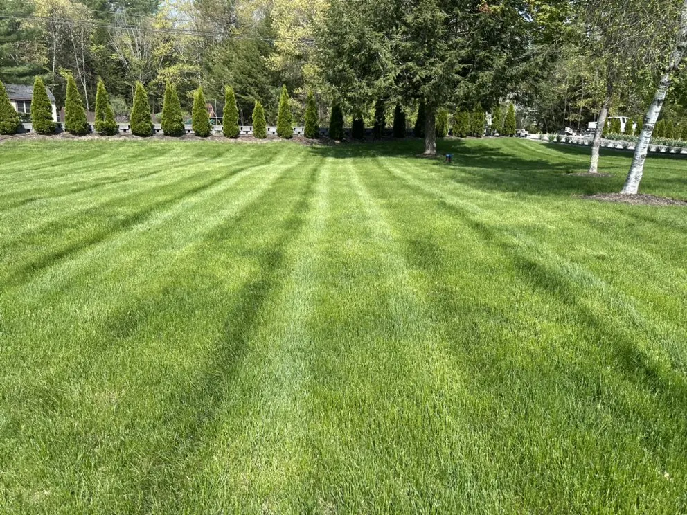 Trusted landscape design in Manchester, NH by CSM Landscaping & Lot