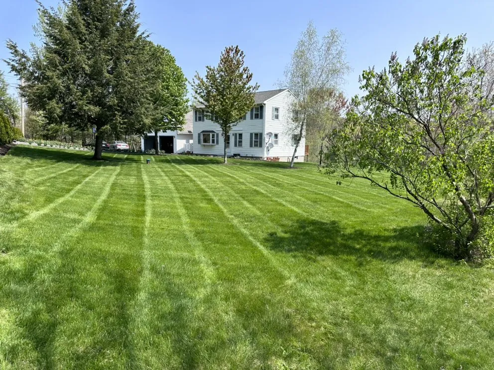 Expert landscape installation for residential properties across Manchester, NH - CSM Landscaping & Lot