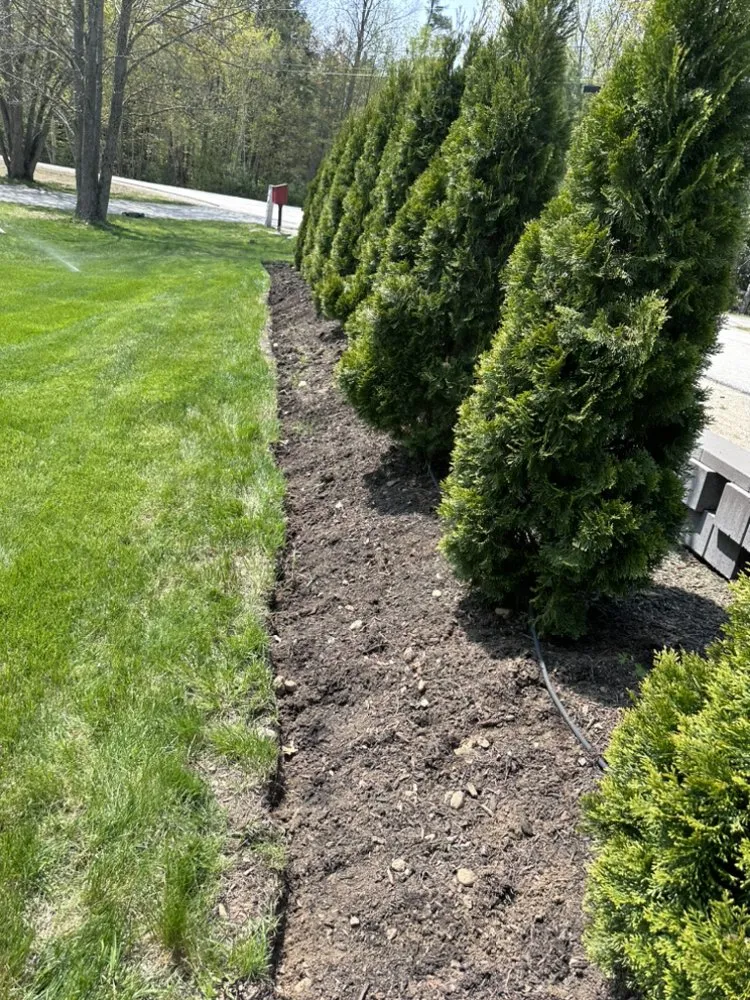 Top-rated landscaping services in Manchester, NH by CSM Landscaping & Lot
