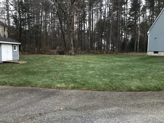 CSM Landscaping & Lot Logo