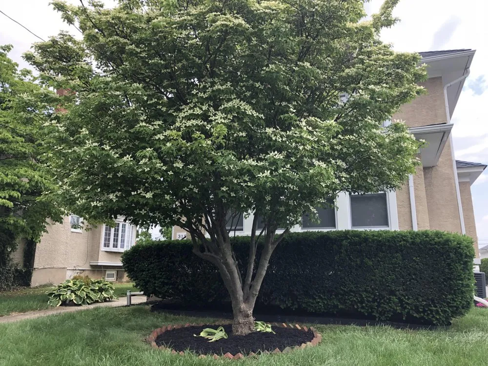 Local landscape installation for outdoor upgrades across Norwood, PA - CSM Landscaping and Lawn Care