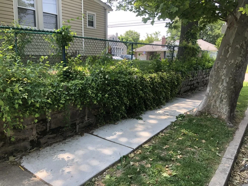 Reliable landscaping services experts serving Norwood, PA - CSM Landscaping and Lawn Care