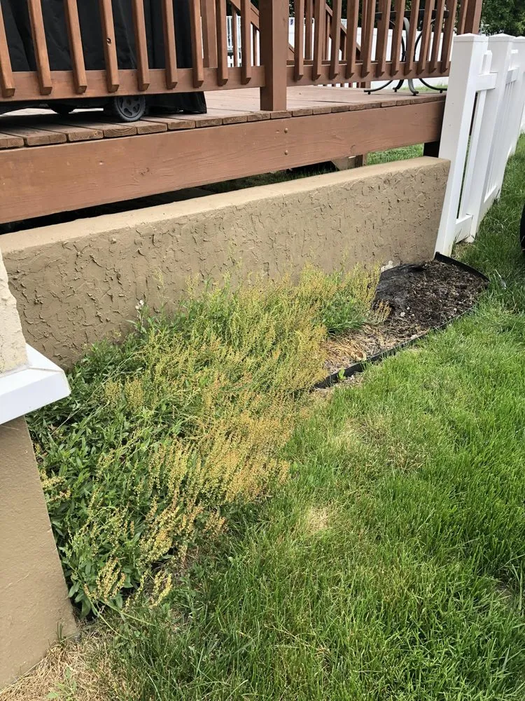 Top-rated residential landscaping in Norwood, PA - CSM Landscaping and Lawn Care