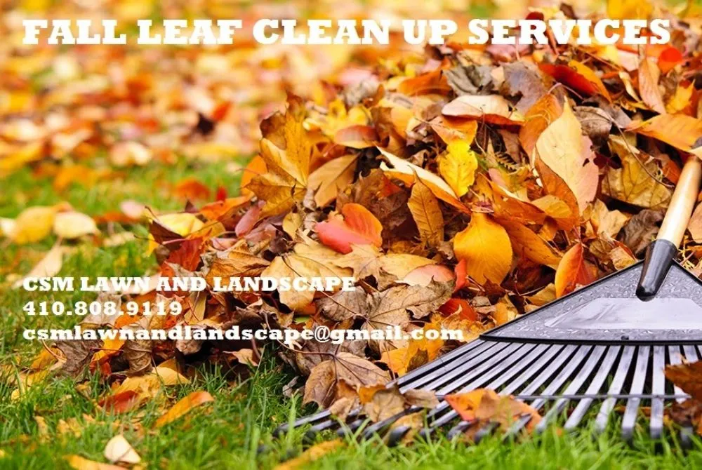 Custom landscaping services for beautiful yards in Crownsville, MD by CSM Lawn and Landscape