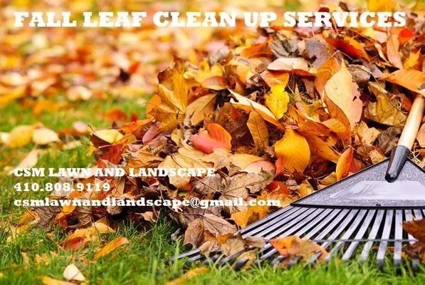 CSM Lawn and Landscape Logo