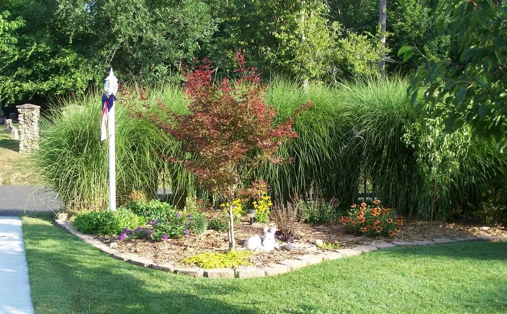 Affordable landscaping services with custom design across Waynesville, MO - CSMO Lawn Care