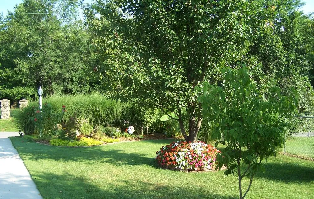 Reliable residential landscaping near you across Waynesville, MO - CSMO Lawn Care