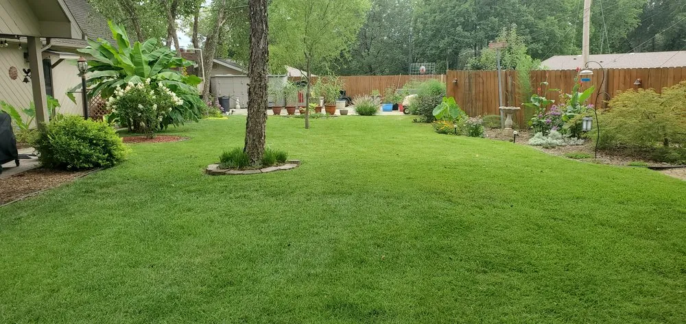 Trusted yard cleanup service for year-round maintenance in Waynesville, MO by CSMO Lawn Care