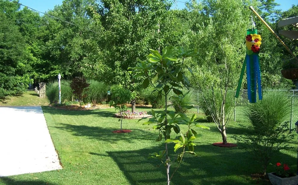 Affordable landscape installation experts serving Waynesville, MO - CSMO Lawn Care