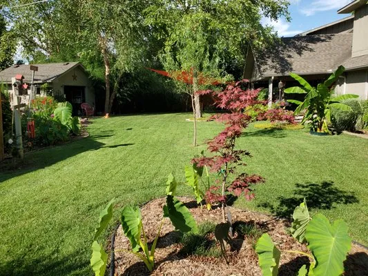 CSMO Lawn Care